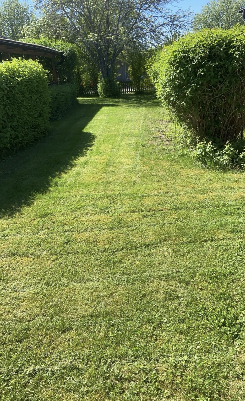 Trädgårdsarbete Renovera360