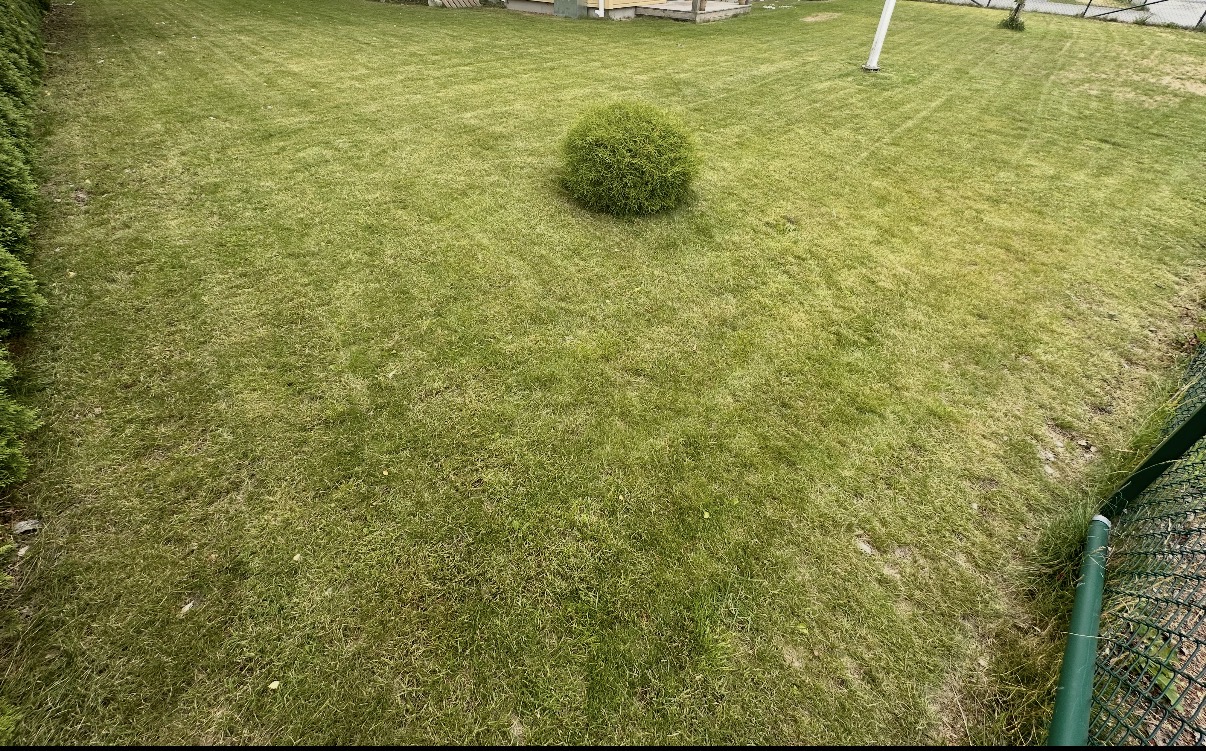 Gräsmatta efter arbete