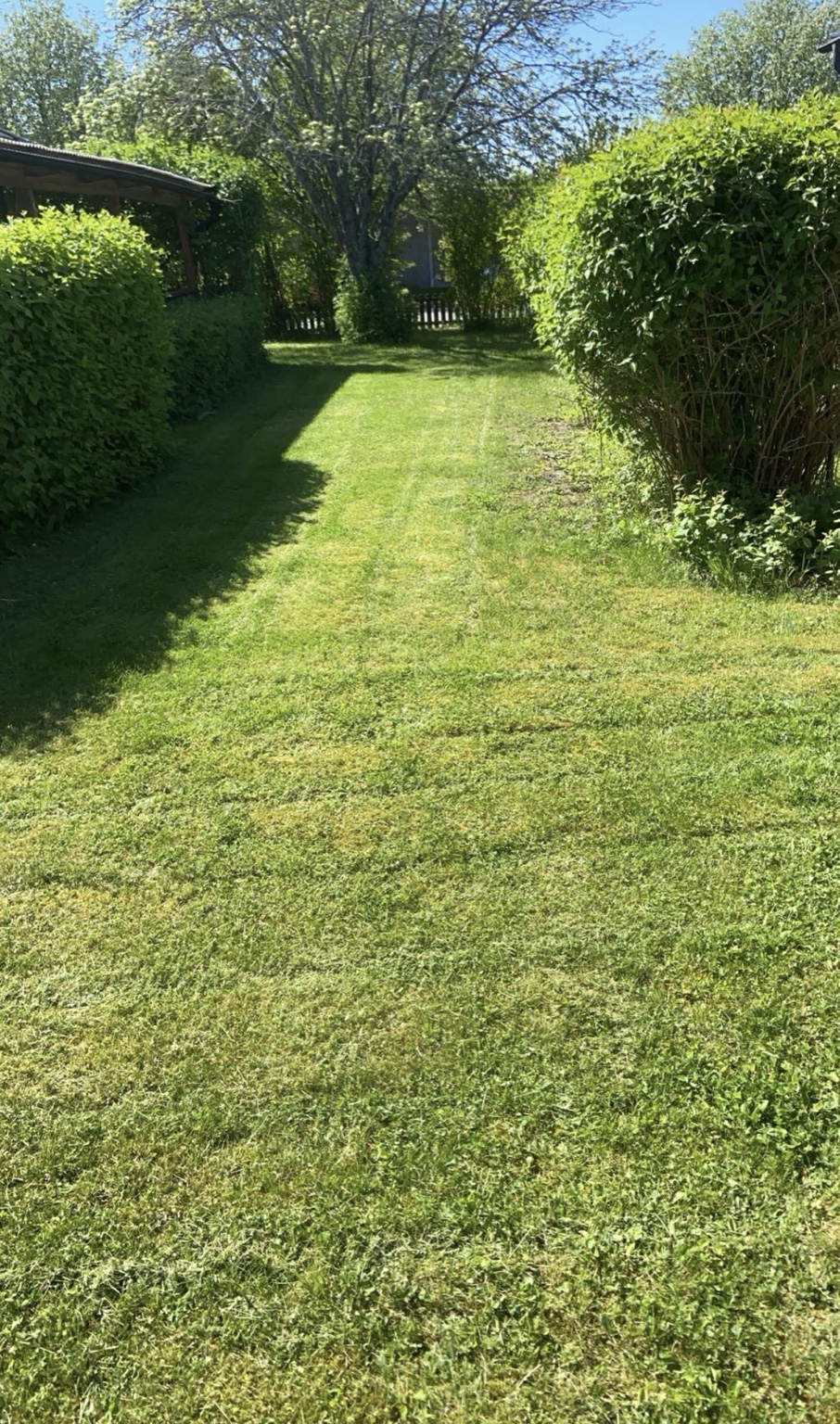 Renovera360 trädgårdsarbete